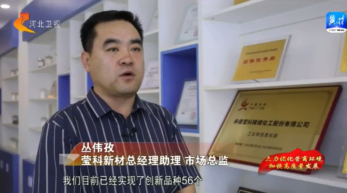 久久AV无码精品人妻系列试探