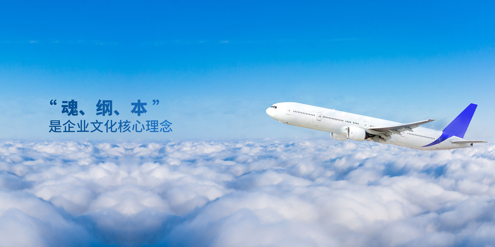 久久AV无码精品人妻系列试探